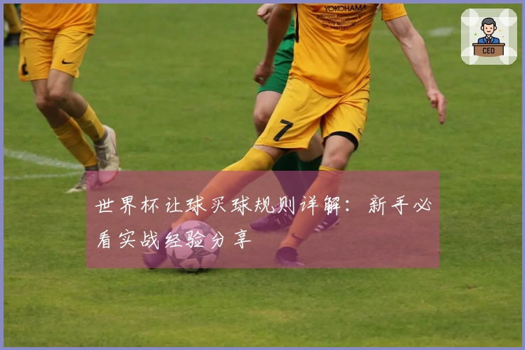 世界杯让球买球规则详解：新手必看实战经验分享
