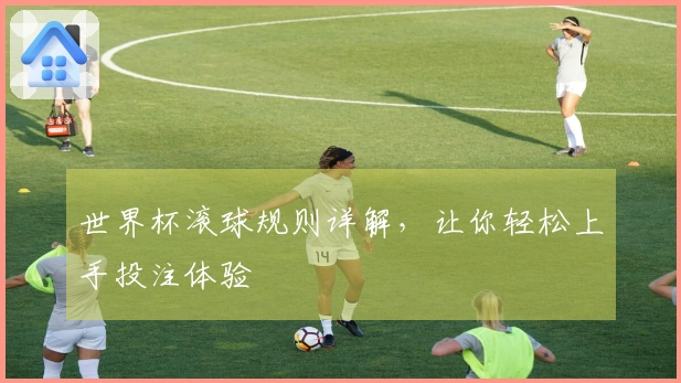 世界杯滚球规则详解，让你轻松上手投注体验