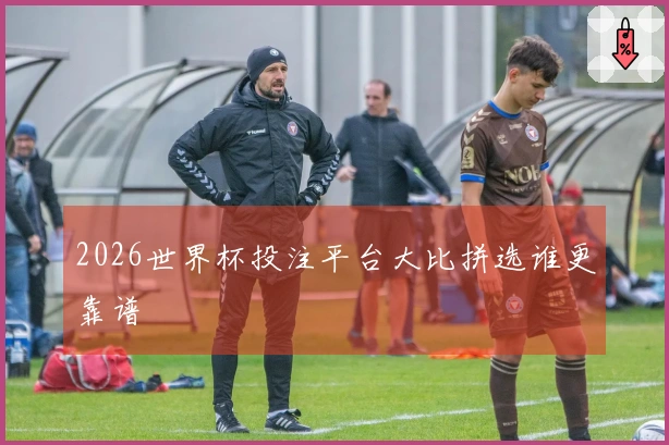2026世界杯投注平台大比拼选谁更靠谱