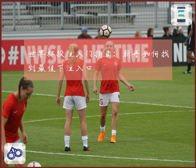 世界杯投注入门指南：新手如何找到最佳下注入口