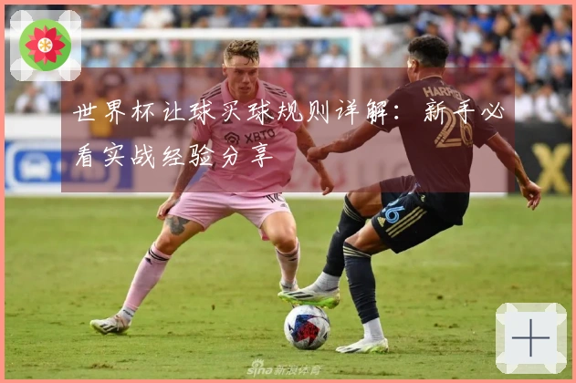 世界杯让球买球规则详解：新手必看实战经验分享