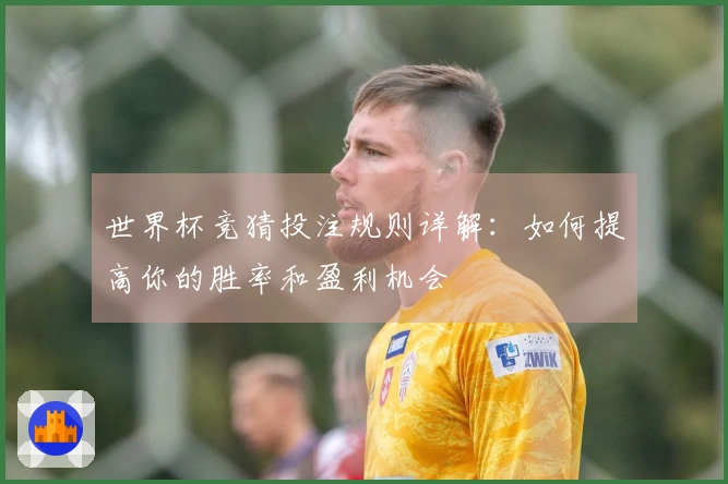 世界杯竞猜投注规则详解：如何提高你的胜率和盈利机会